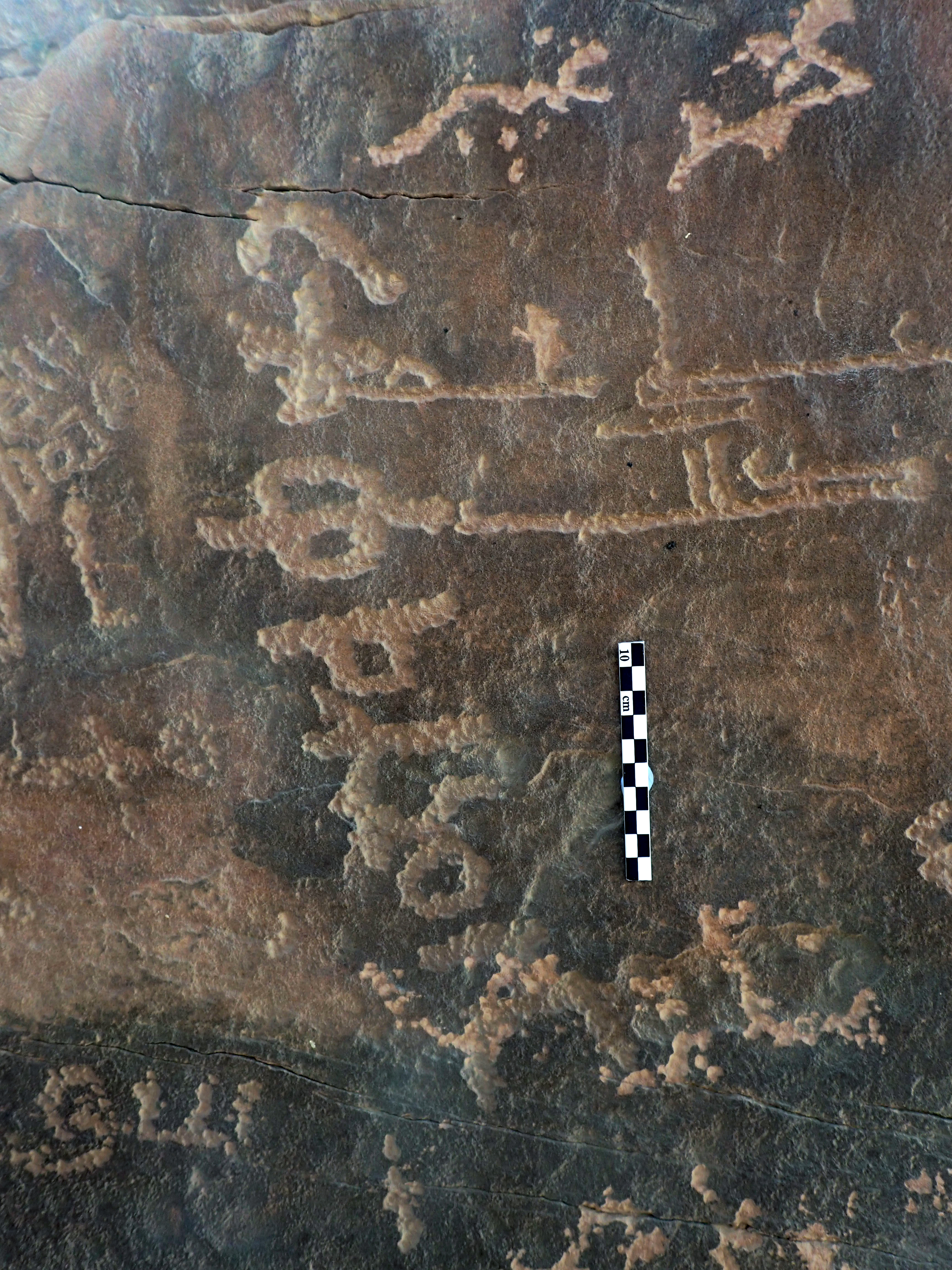 inscription of siglum ELHT Ghayrān al-Ḥammām_al-Muǧaddar Tay 2