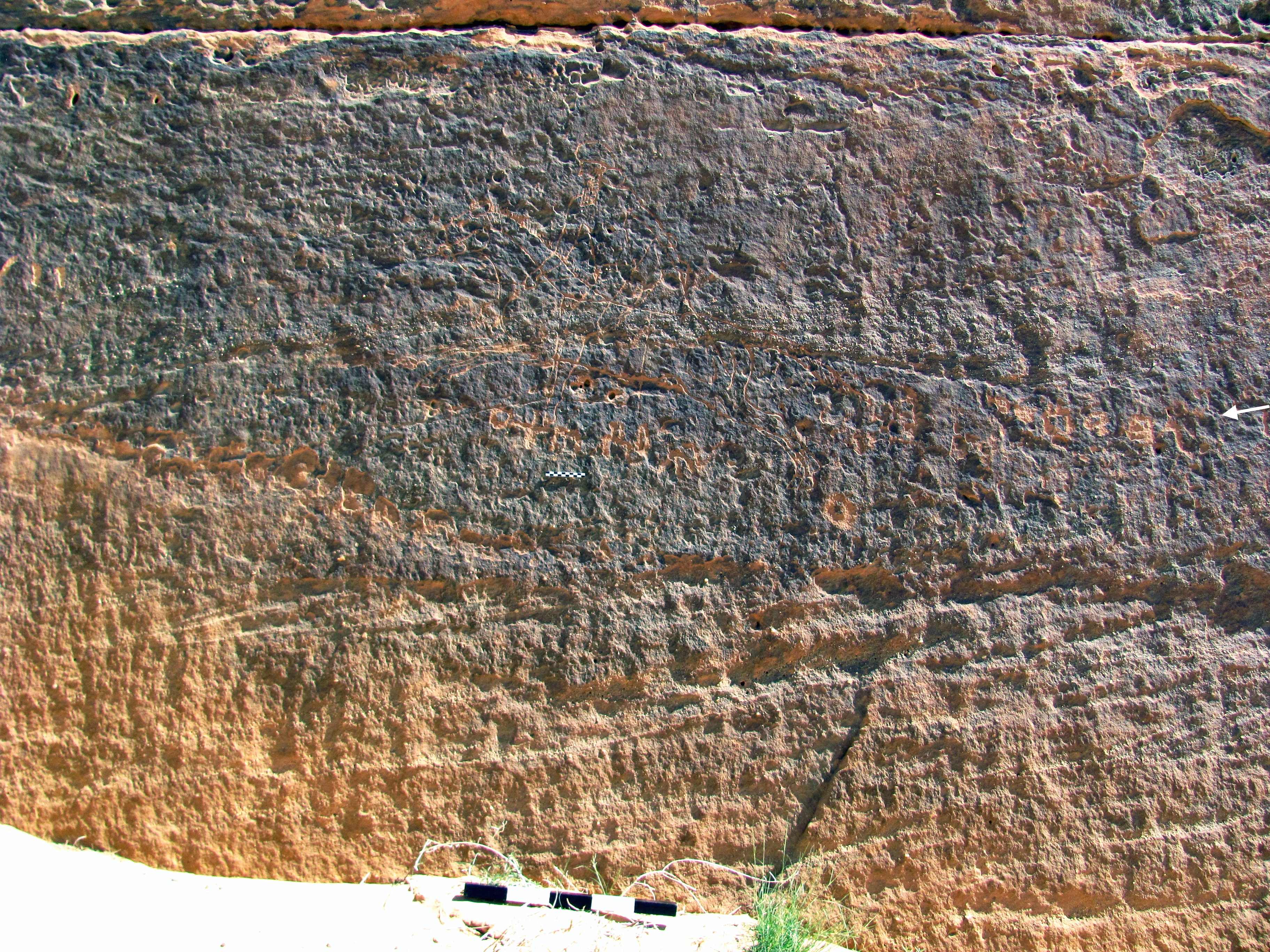 inscription of siglum ELHT Ḥiṣān Malik Babil Tay 1