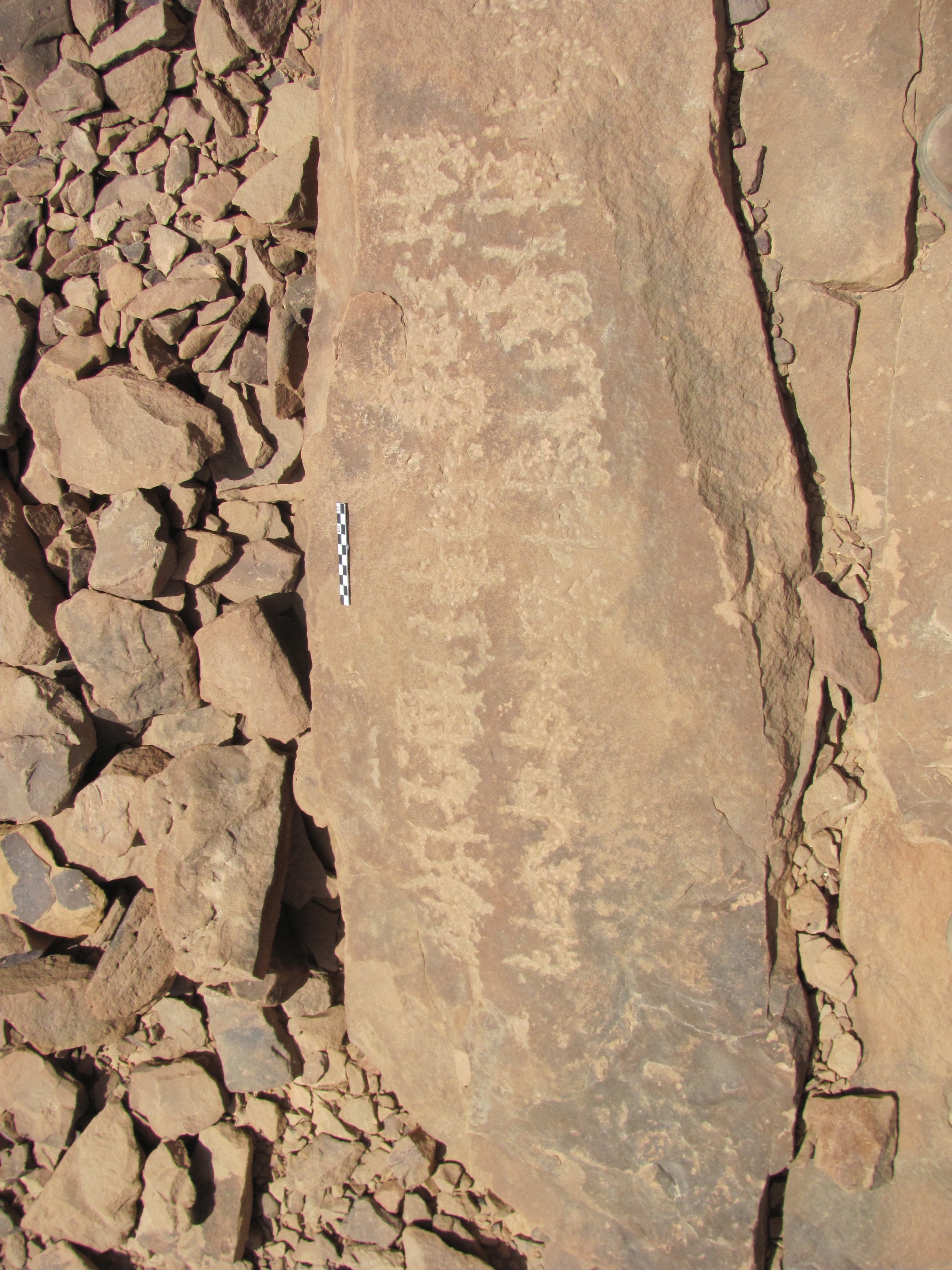 inscription of siglum ELHT Jabal Ġunaym Tay 1