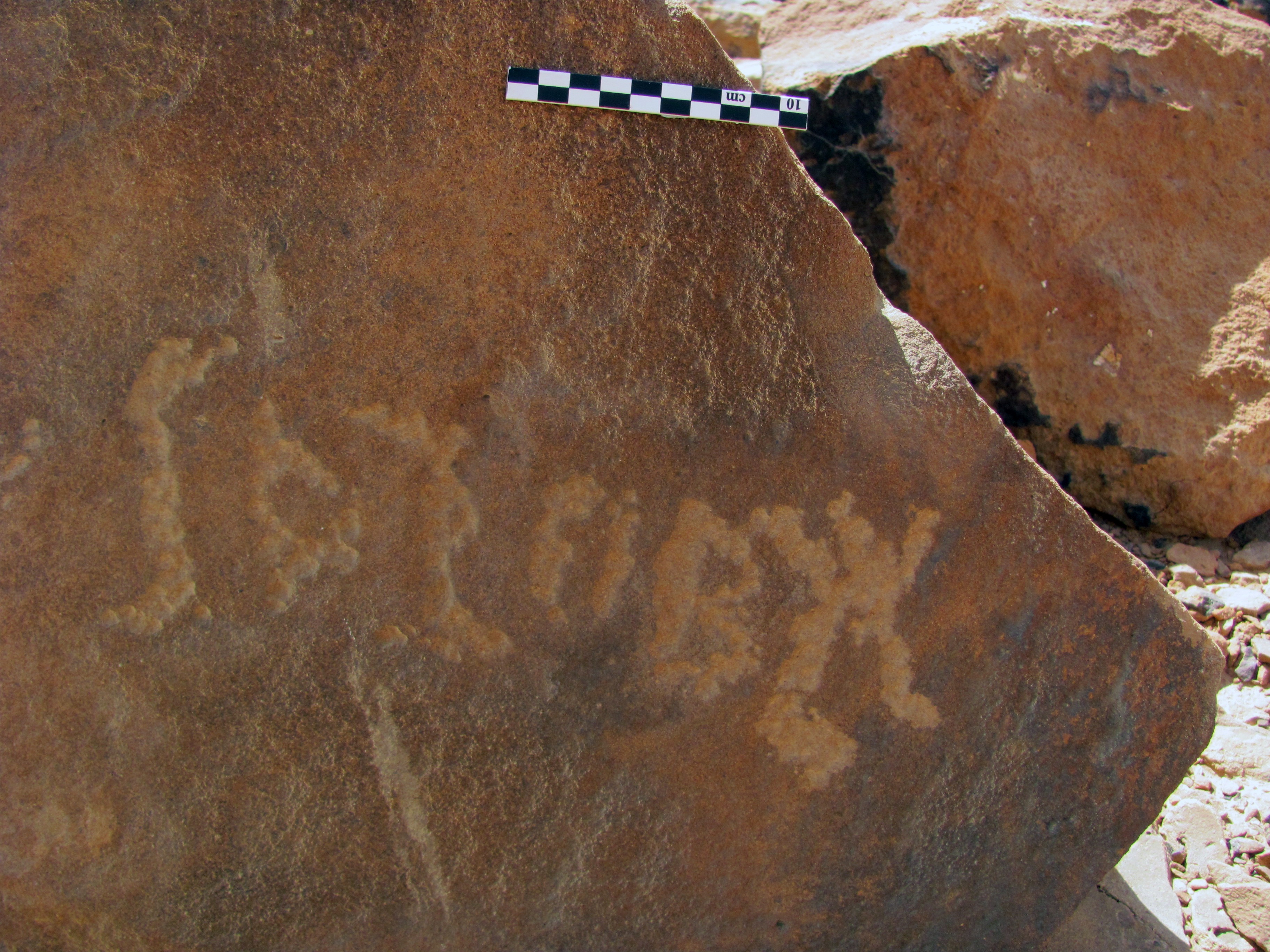 inscription of siglum ELHT Jabal Ġunaym Tay 15