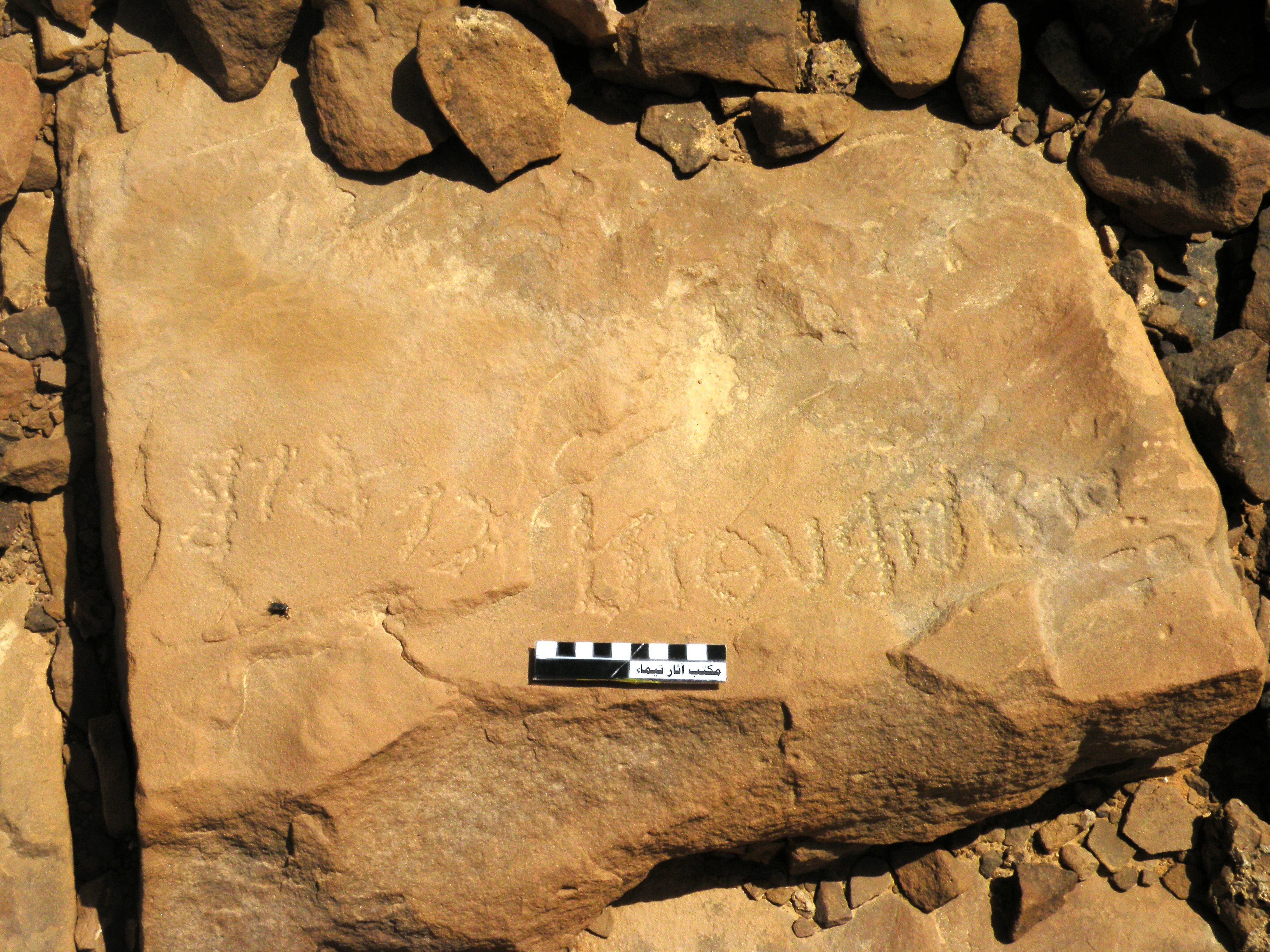 inscription of siglum ELHT Jabal Ġunaym Tay 25