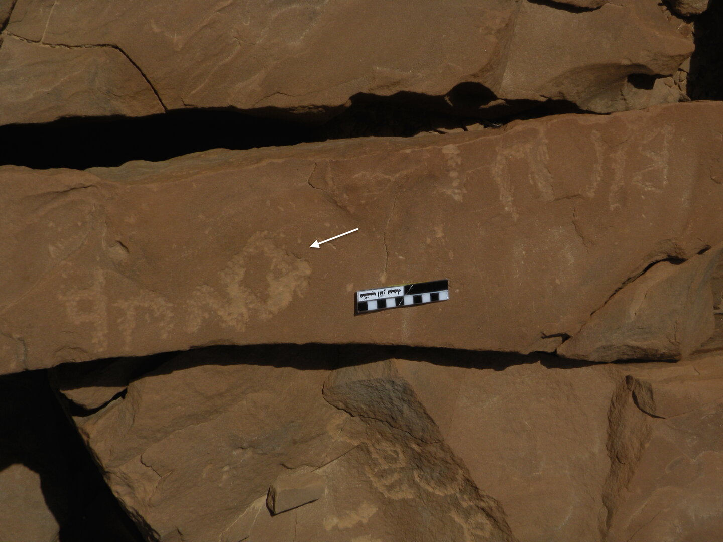 inscription of siglum ELHT Jabal Ġunaym Tay 27