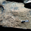inscription of siglum ELHT Jabal Ġunaym Tay 35