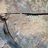 inscription of siglum ELHT Jabal Ġunaym Tay 7