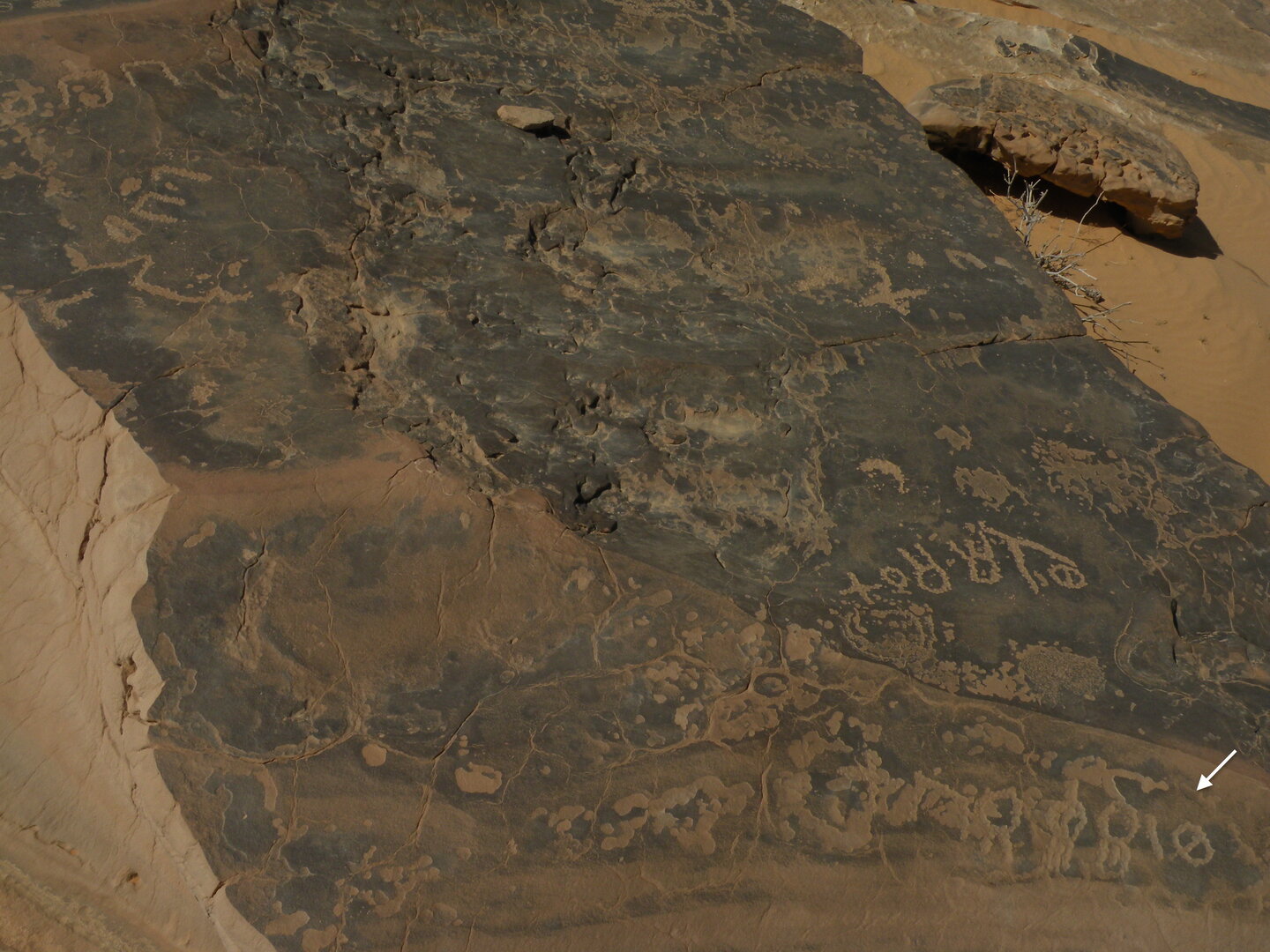 inscription of siglum ELHT Muḥaǧǧah.3 Tay 1