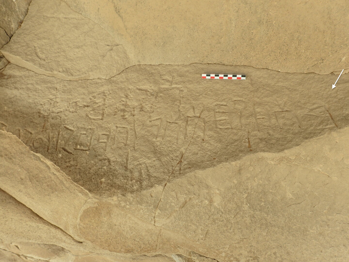 inscription of siglum ELHT Wādī al-Zaydāniyyah Tay 11