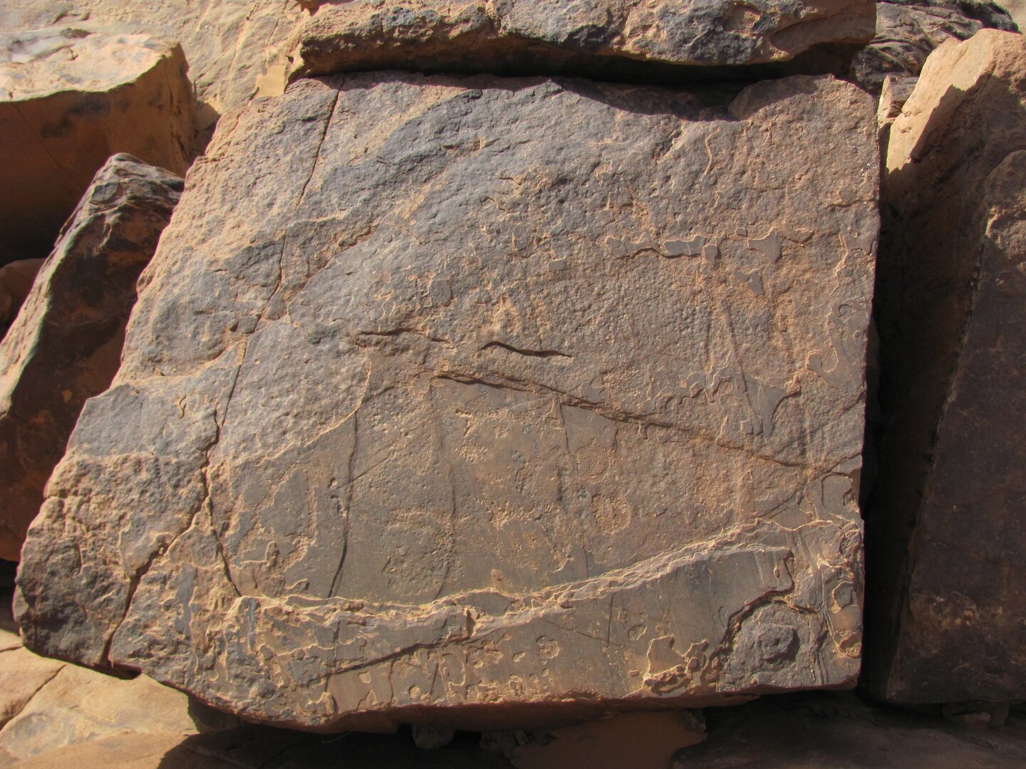 inscription of siglum ELHT Wādī al-Zaydāniyyah Tay 14