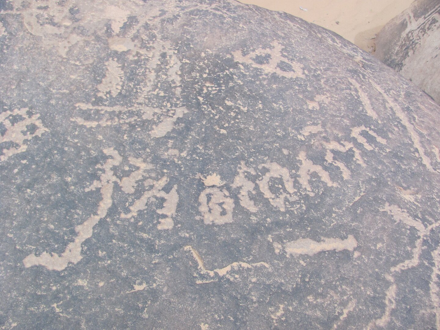 inscription of siglum ELHT Wādī al-Zaydāniyyah Tay 15