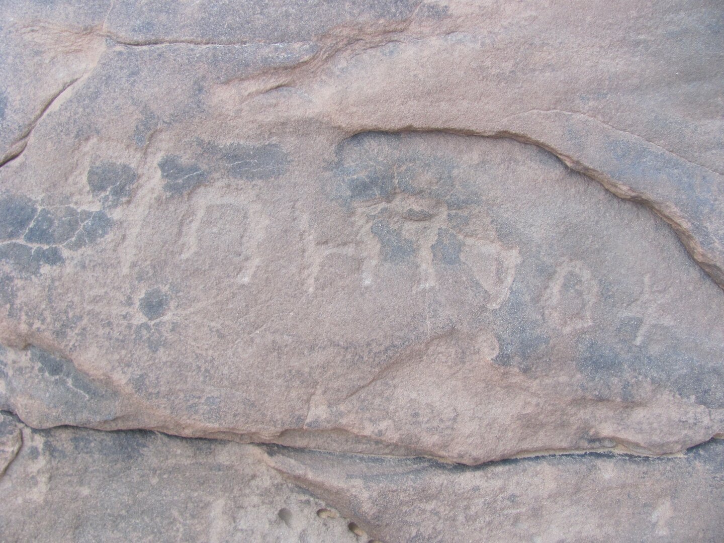 inscription of siglum ELHT Wādī al-Zaydāniyyah Tay 17