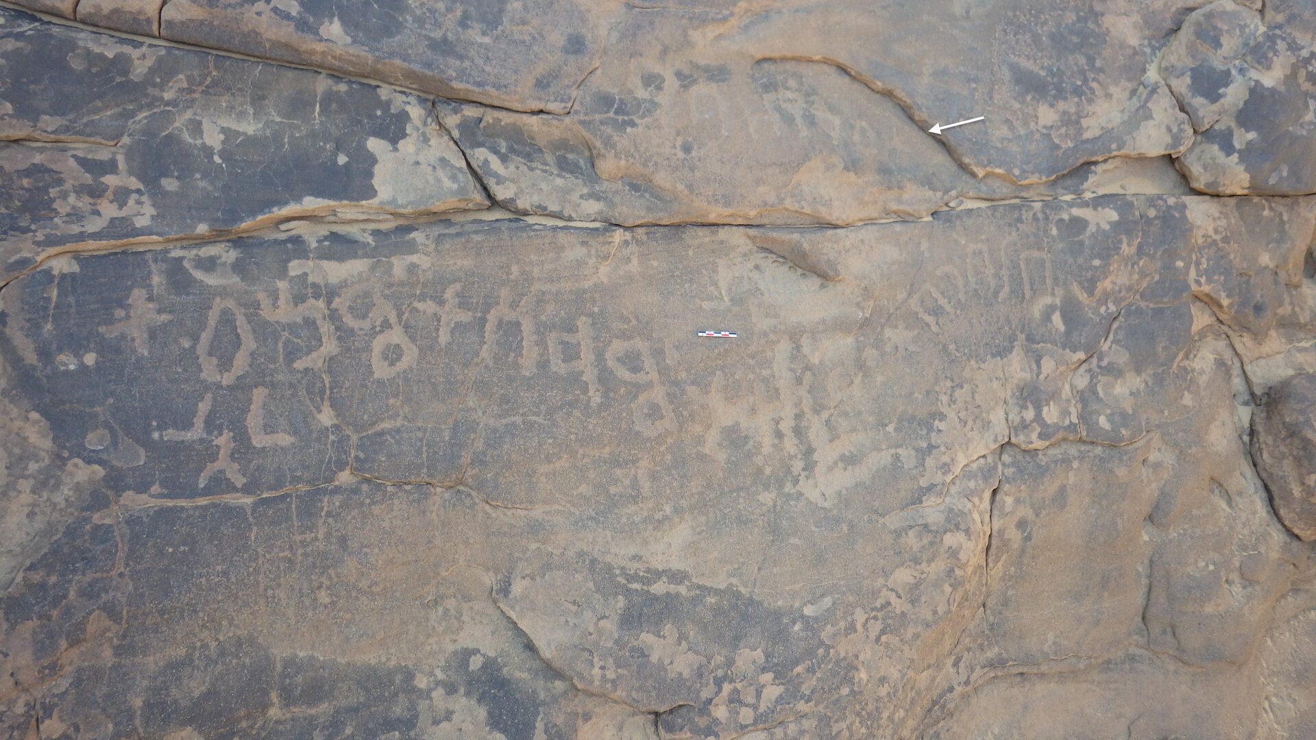 inscription of siglum ELHT Wādī al-Zaydāniyyah Tay 17