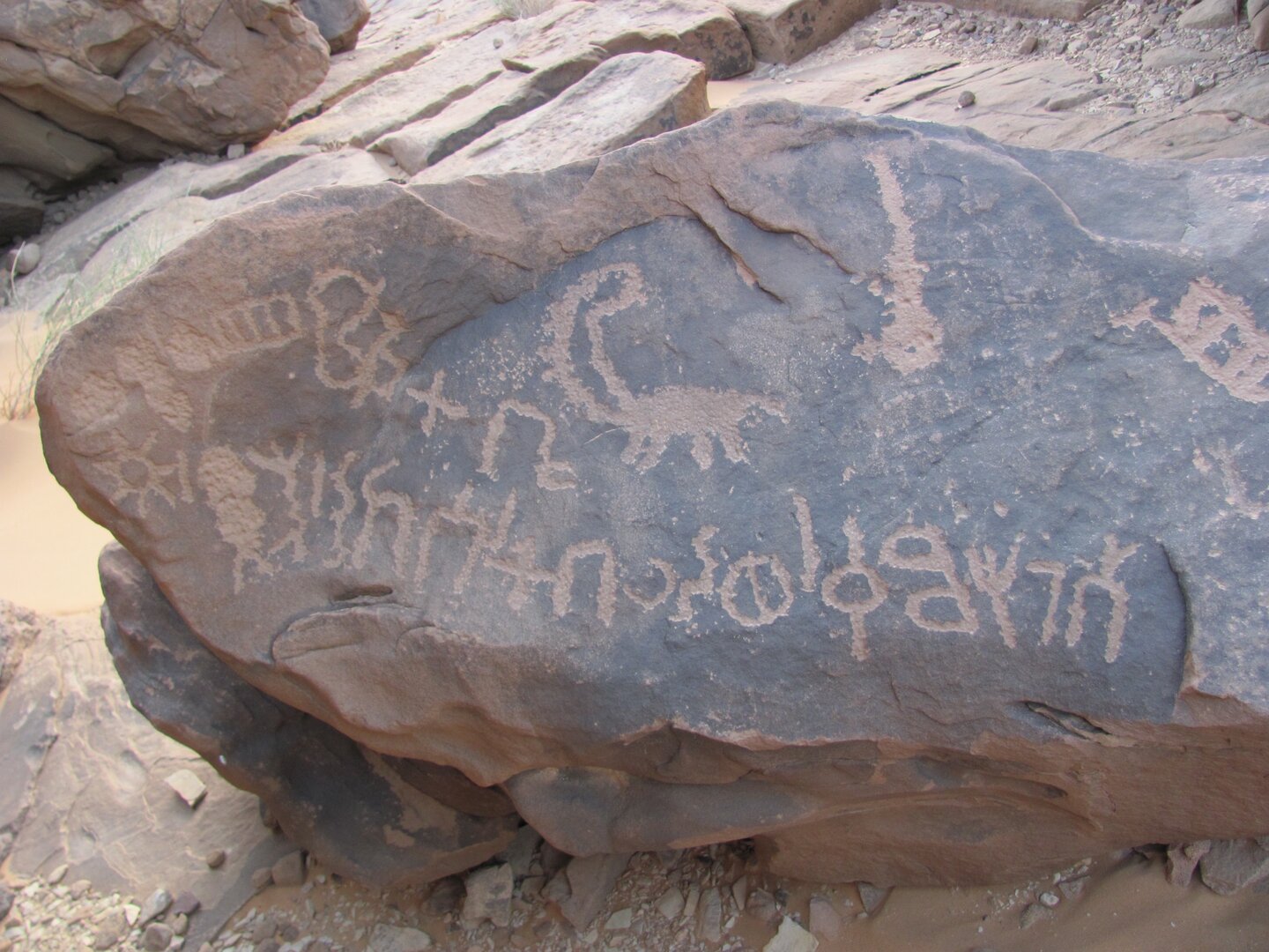 inscription of siglum ELHT Wādī al-Zaydāniyyah Tay 19