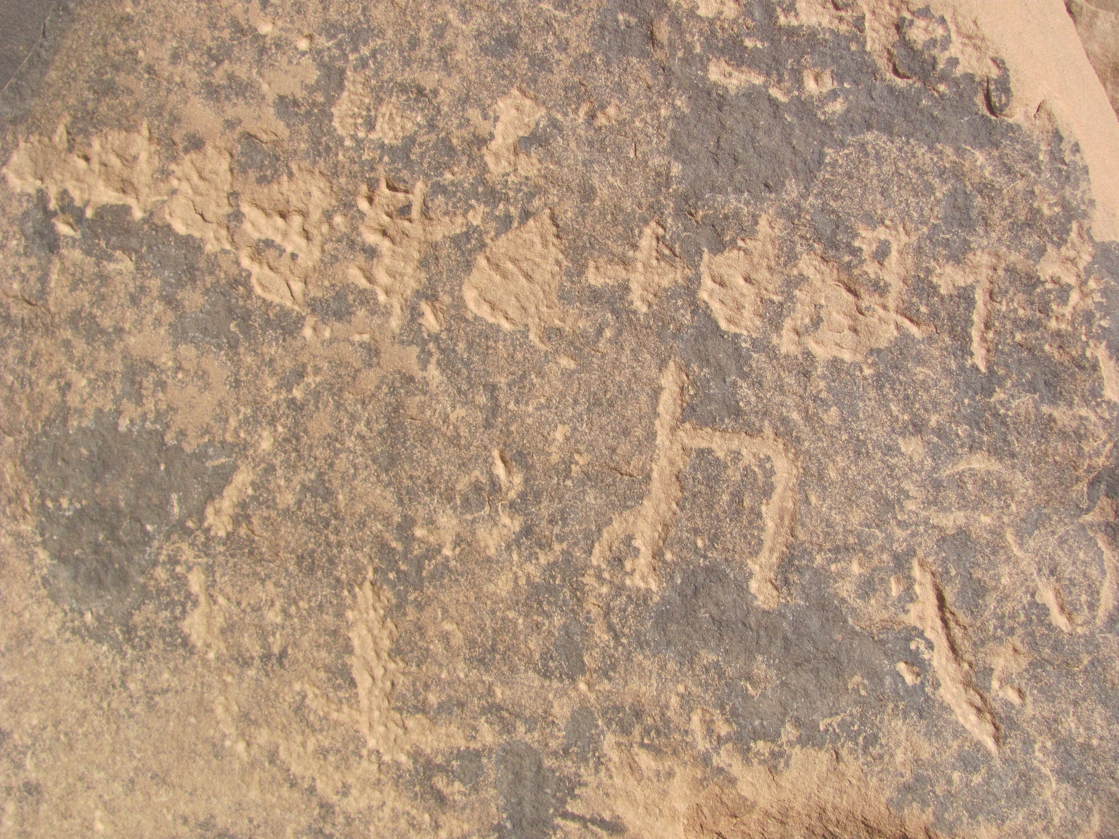 inscription of siglum ELHT Wādī al-Zaydāniyyah Tay 3