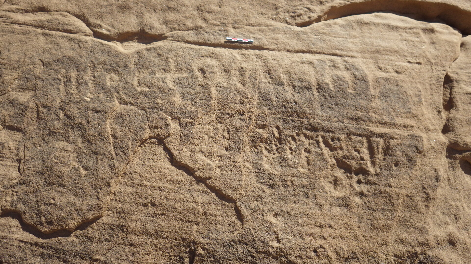 inscription of siglum ELHT Wādī al-Zaydāniyyah Tay 7