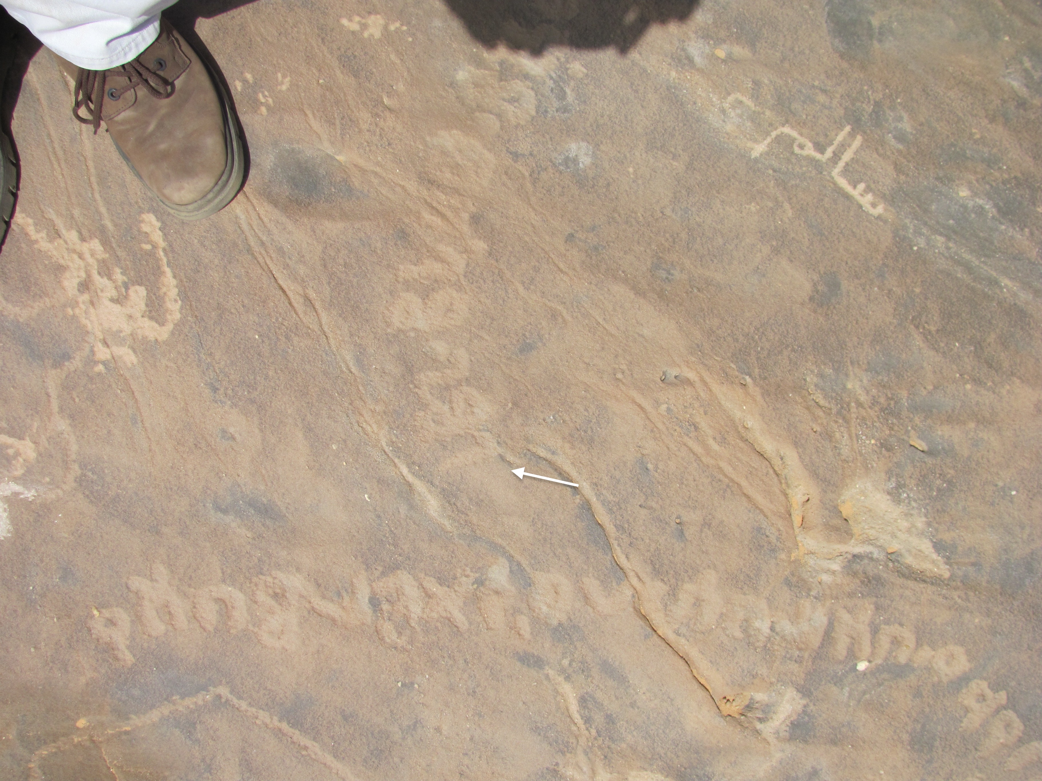 inscription of siglum ELHT Waḍaḥā Tay 5