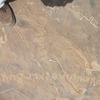 inscription of siglum ELHT Waḍaḥā Tay 5