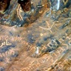 inscription of siglum ELHT Waḍaḥā Tay 7