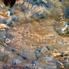 inscription of siglum ELHT Waḍaḥā Tay 7