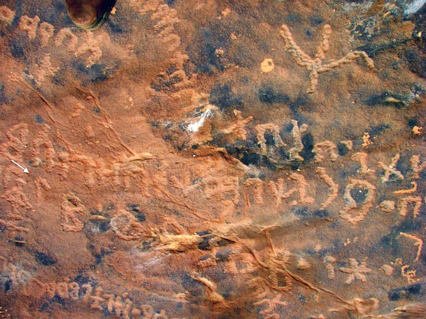 inscription of siglum ELHT Waḍaḥā Tay 8