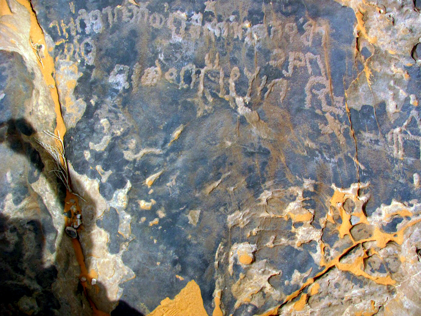 inscription of siglum ELHT Waḍaḥā Tay 9