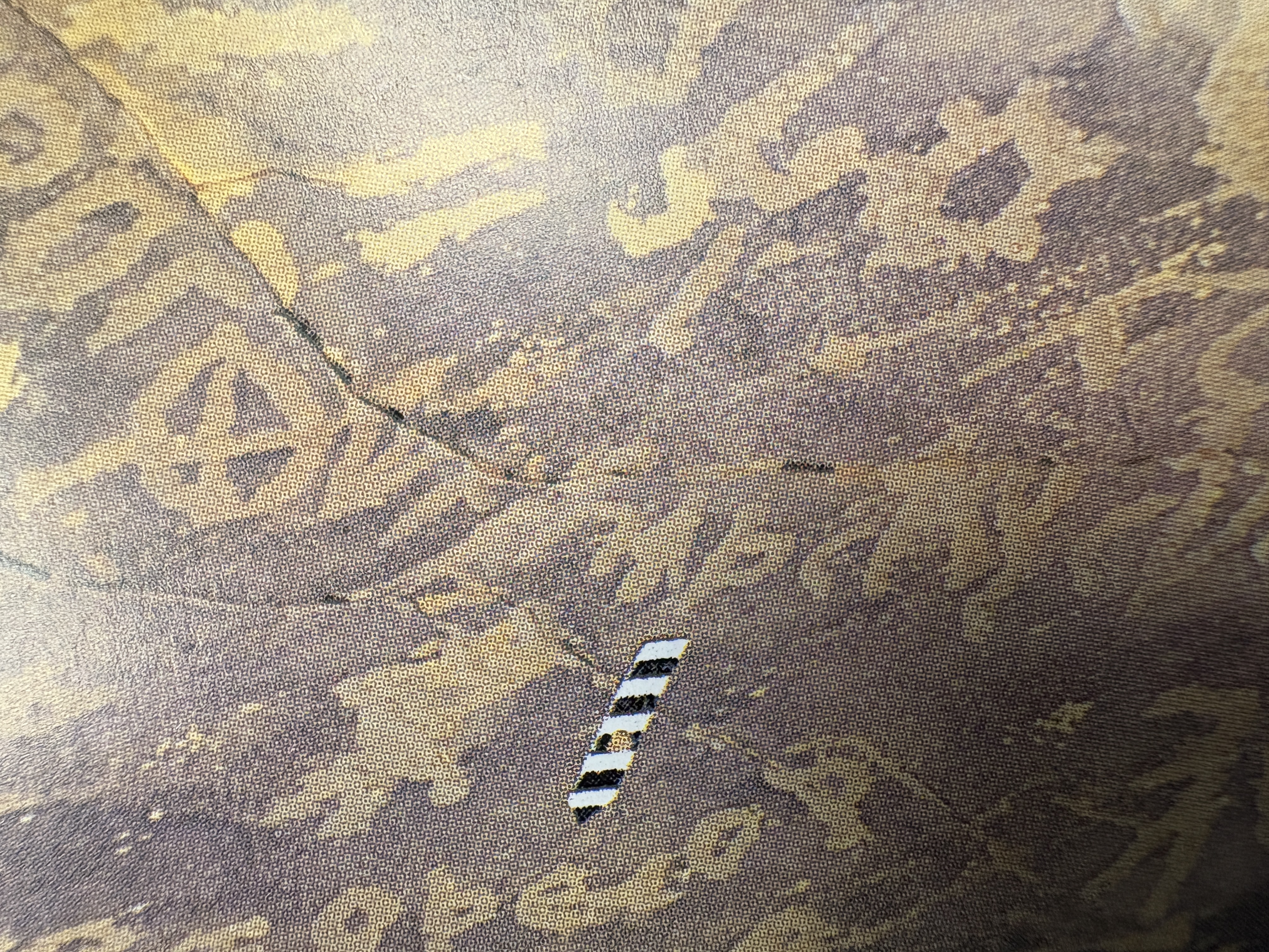 detail of the phrase containing qdr