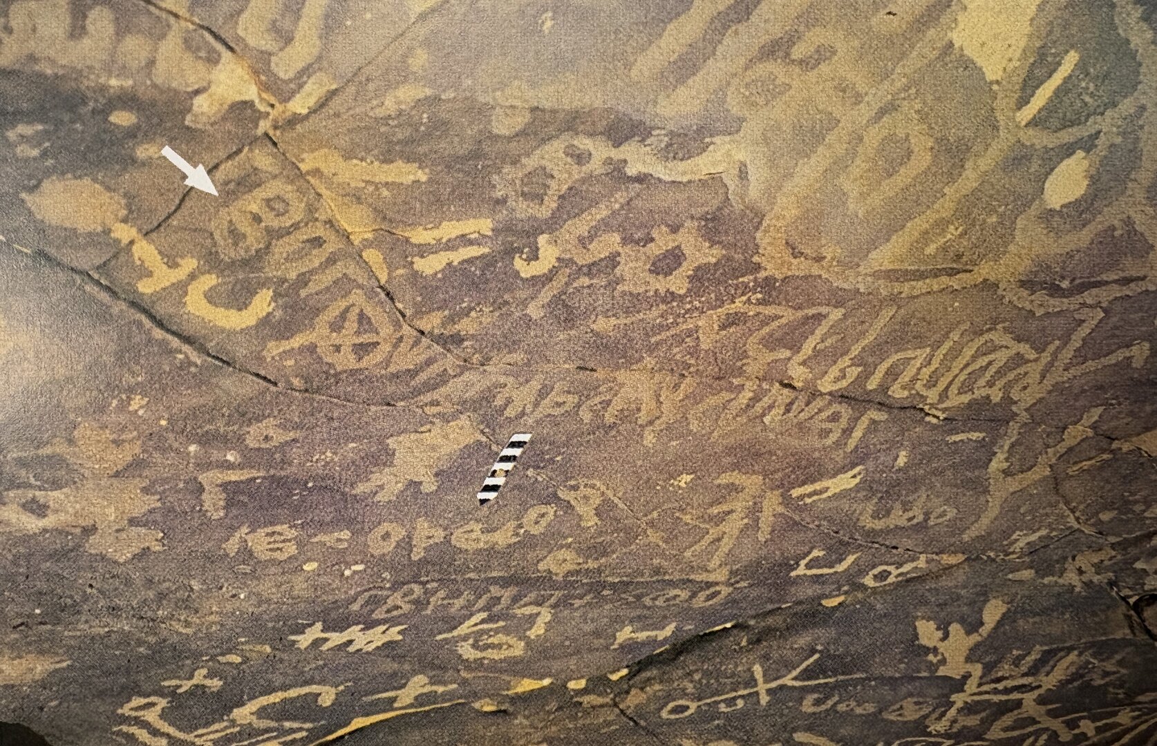 Image of Esk 20