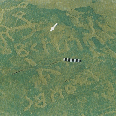inscription of siglum Esk. 138