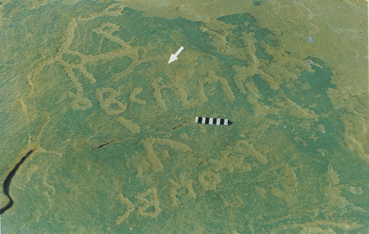 inscription of siglum Esk. 138