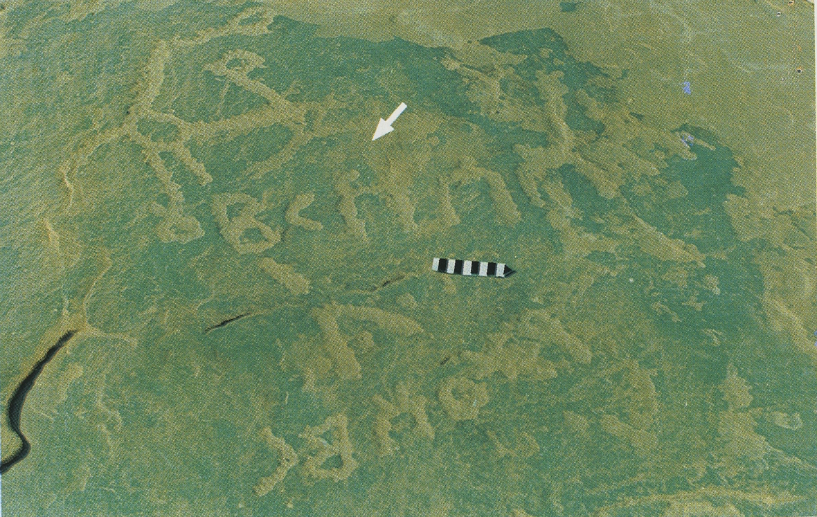 inscription of siglum Esk. 138
