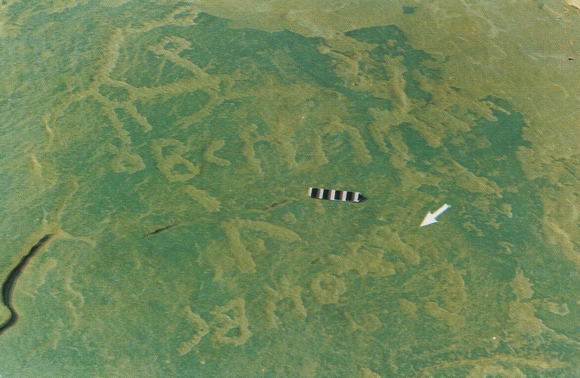 inscription of siglum Esk. 139