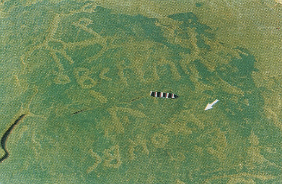 inscription of siglum Esk. 139