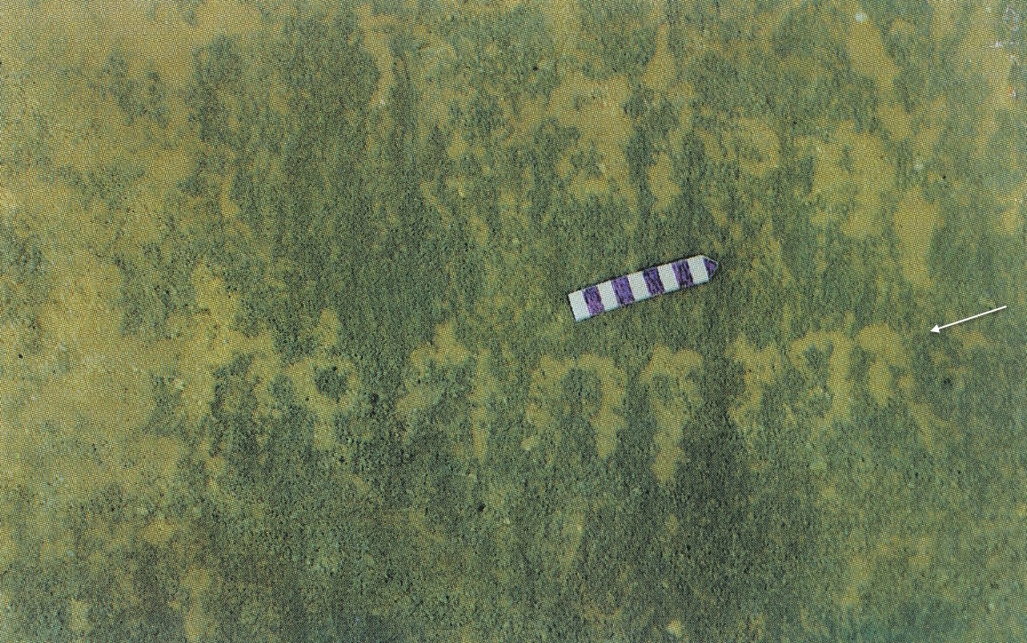 inscription of siglum Esk. 241