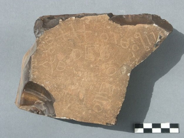 Image of FTH 11