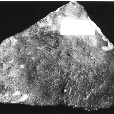 inscription of siglum Field Museum of Natural History, Chicago 158702
