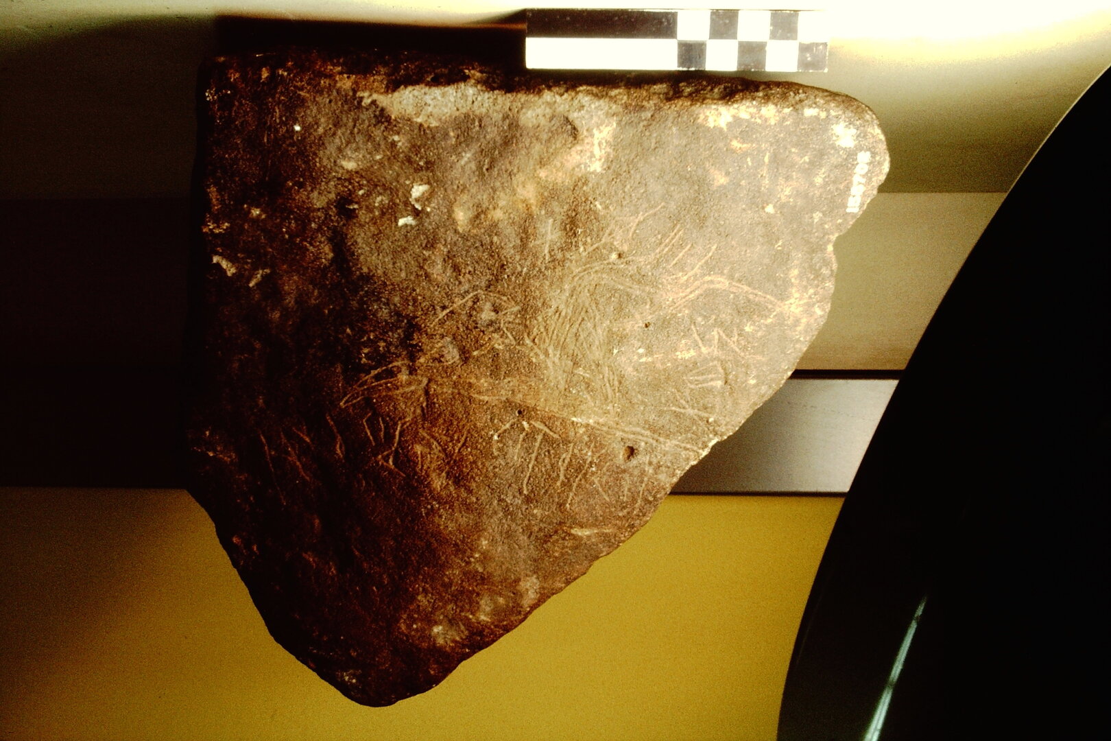 inscription of siglum Field Museum of Natural History, Chicago 158702