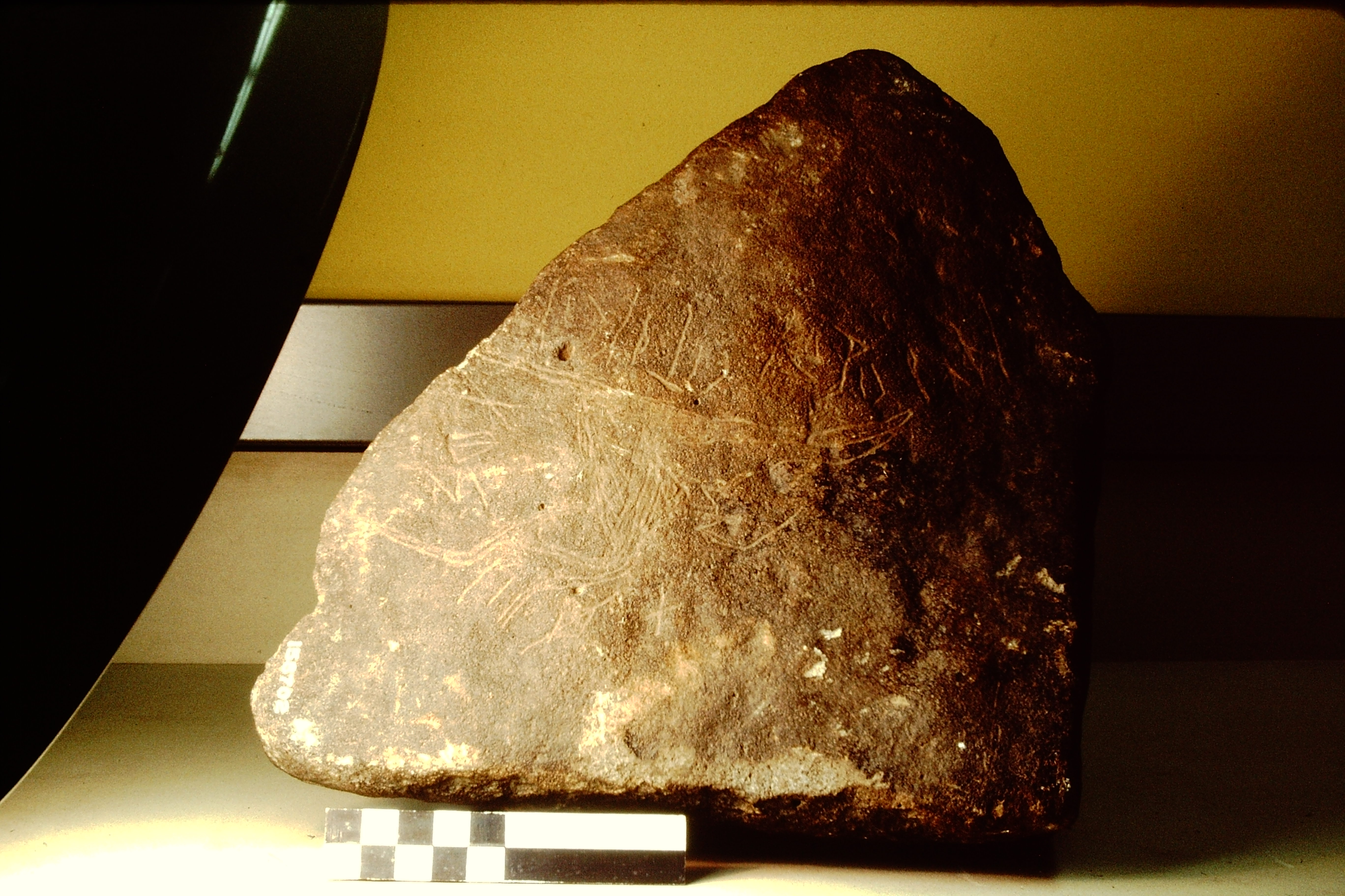 inscription of siglum Field Museum of Natural History, Chicago 158702
