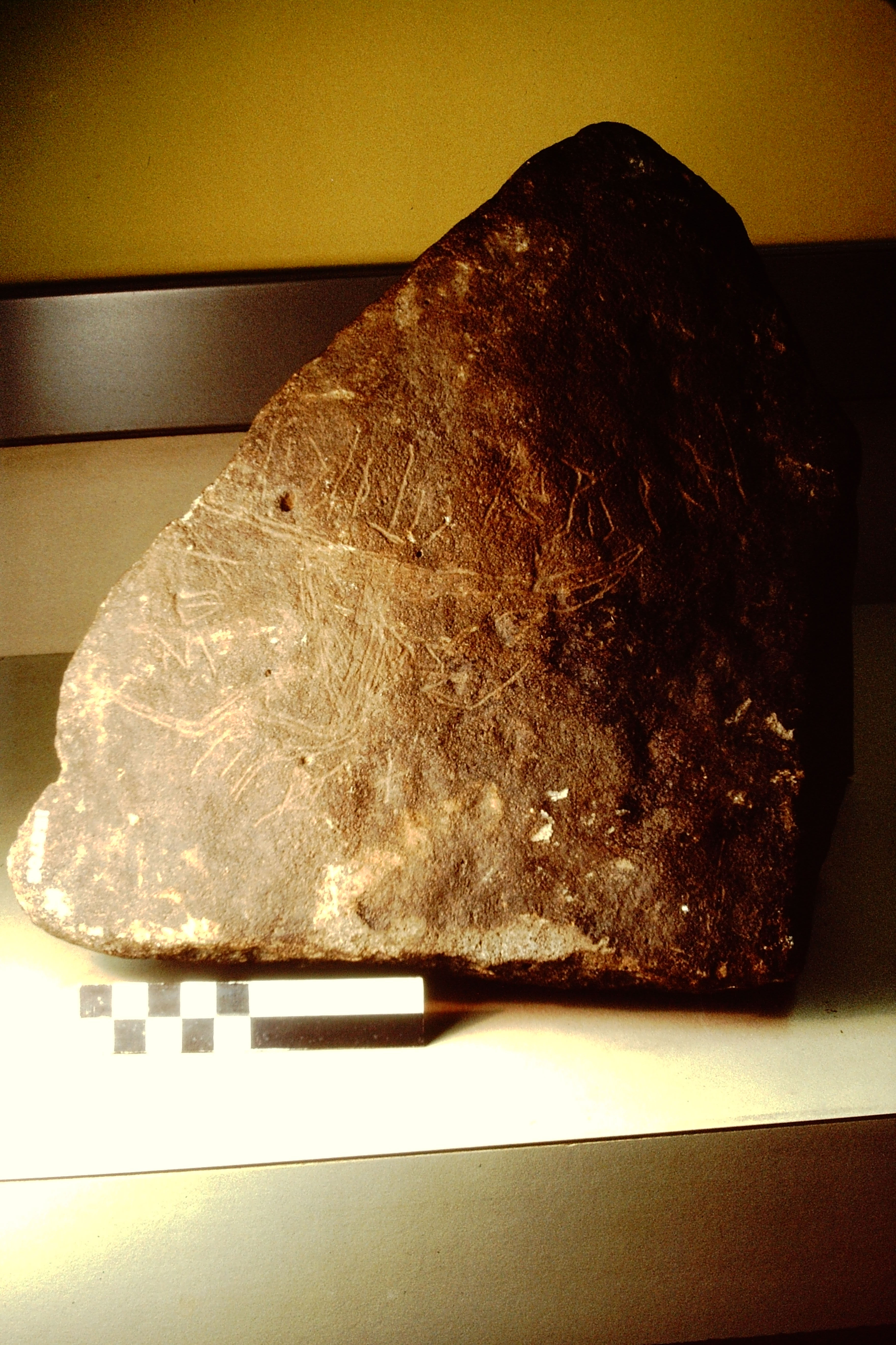 inscription of siglum Field Museum of Natural History, Chicago 158702