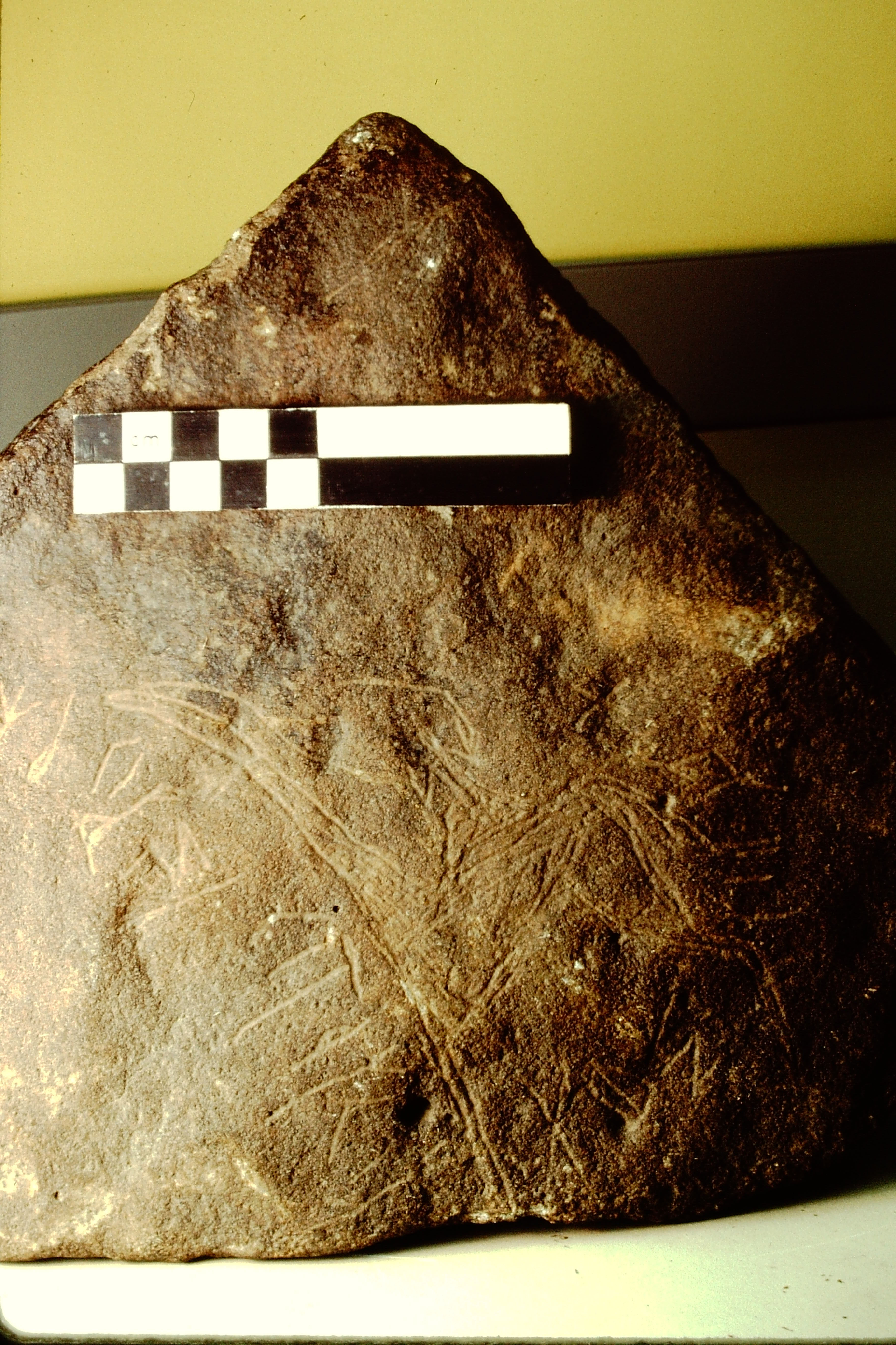 inscription of siglum Field Museum of Natural History, Chicago 158702