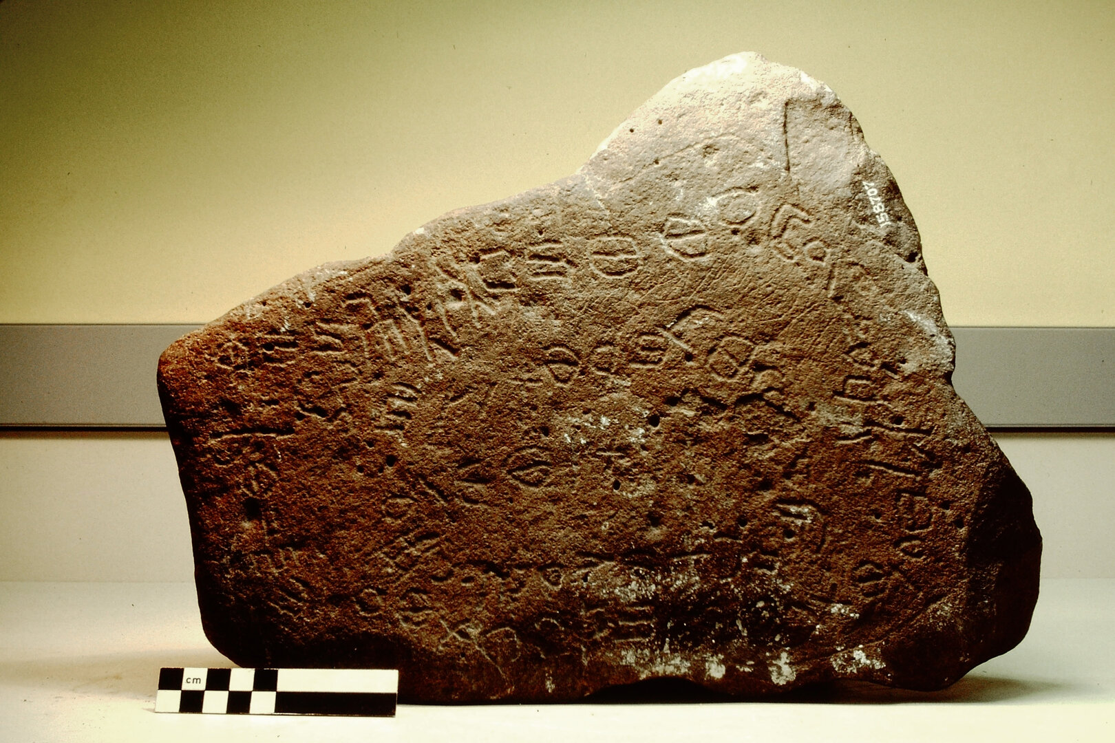 inscription of siglum Field Museum of Natural History, Chicago 158707.1