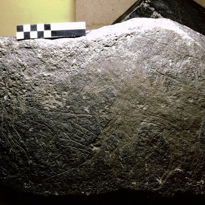inscription of siglum Field Museum of Natural History, Chicago 228759