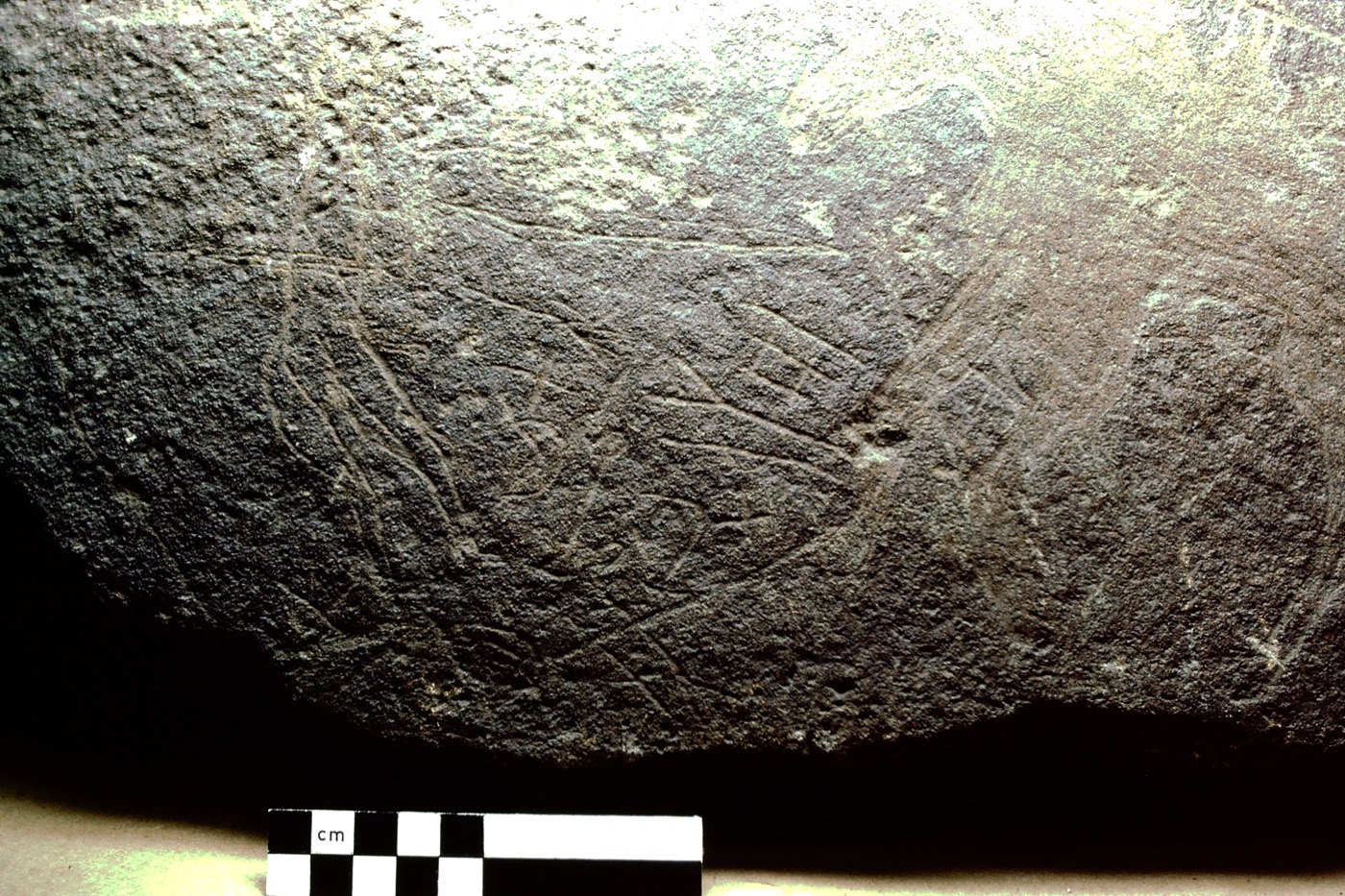 inscription of siglum Field Museum of Natural History, Chicago 228759