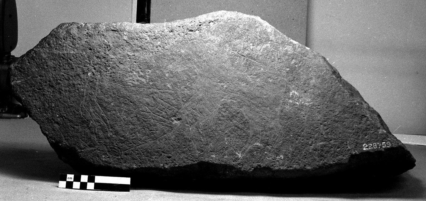 inscription of siglum Field Museum of Natural History, Chicago 228759