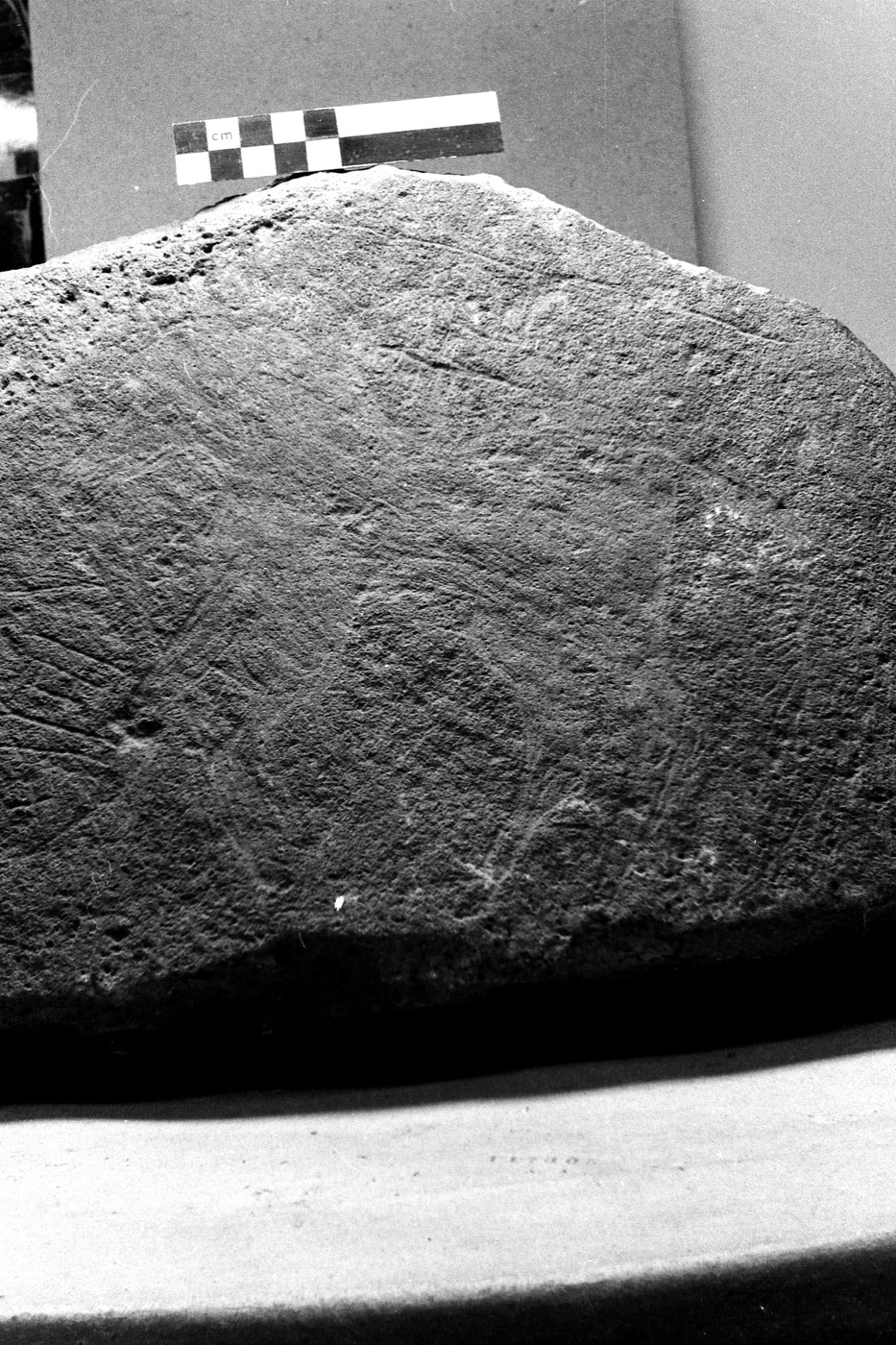 inscription of siglum Field Museum of Natural History, Chicago 228759