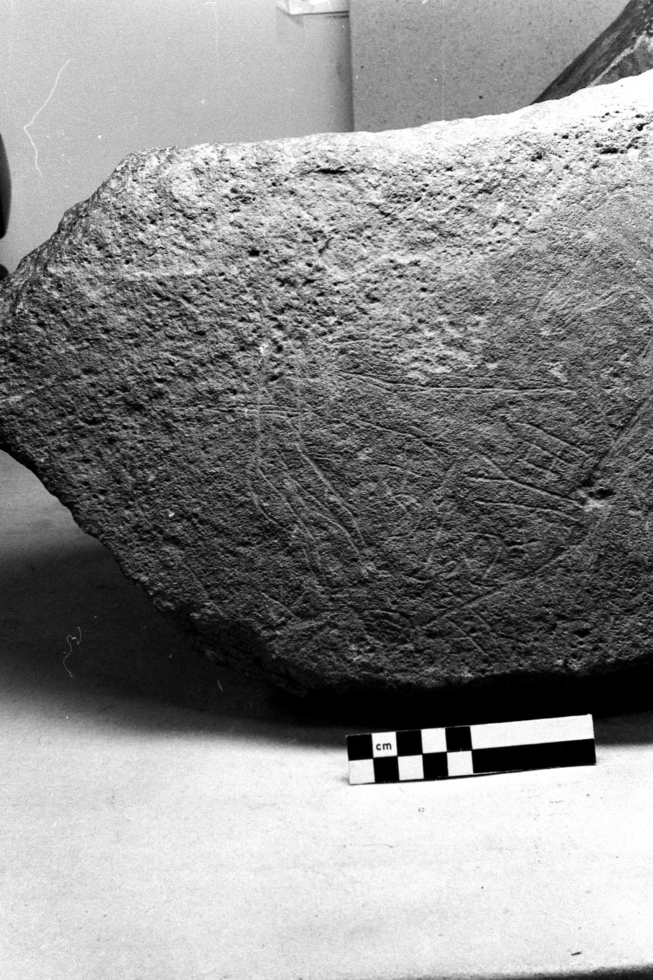 inscription of siglum Field Museum of Natural History, Chicago 228759