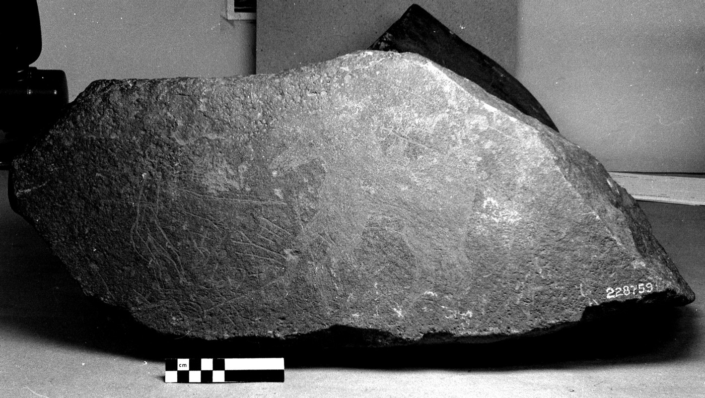 inscription of siglum Field Museum of Natural History, Chicago 228759