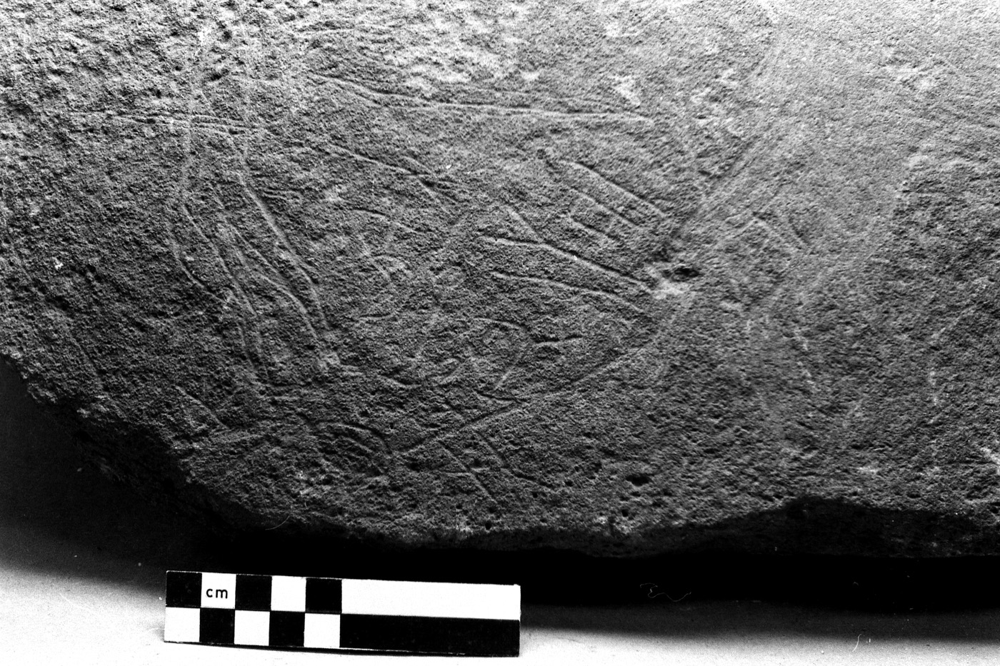 inscription of siglum Field Museum of Natural History, Chicago 228759