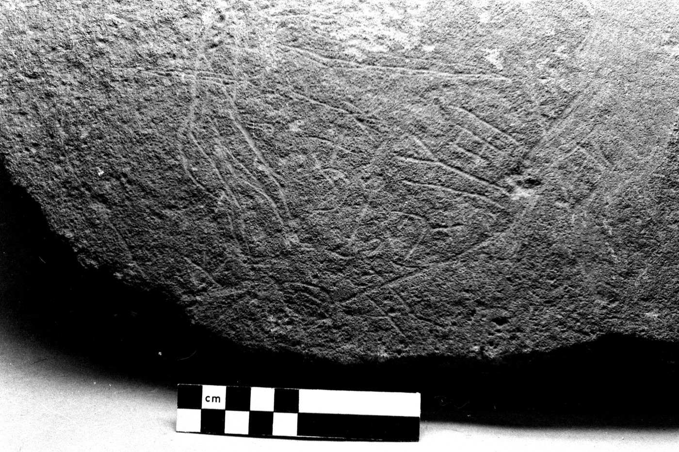 inscription of siglum Field Museum of Natural History, Chicago 228759