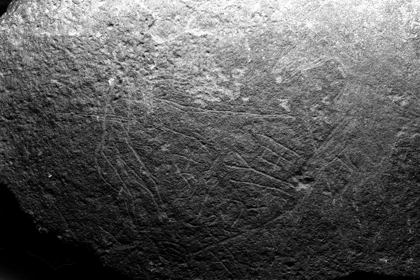 inscription of siglum Field Museum of Natural History, Chicago 228759
