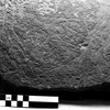 inscription of siglum Field Museum of Natural History, Chicago 228759