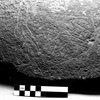 inscription of siglum Field Museum of Natural History, Chicago 228759