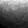 inscription of siglum Field Museum of Natural History, Chicago 228759